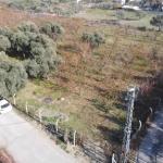 Kemalpaşa İmara Yakın 7.500 m² Yatırımlık Bahçe Tek Tapulu