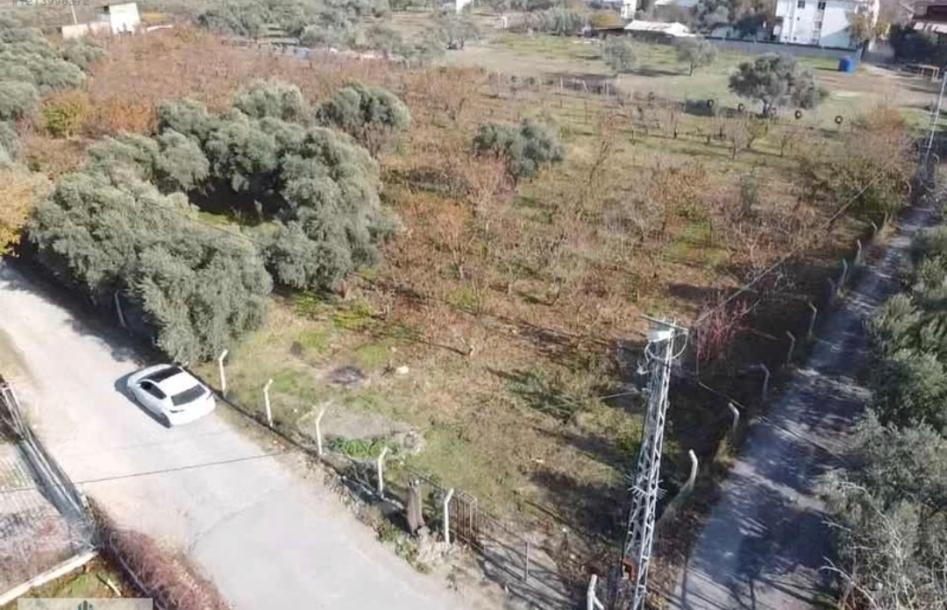 Kemalpaşa İmara Yakın 7.500 m² Yatırımlık Bahçe Tek Tapulu-1