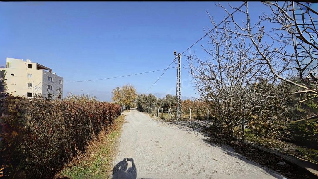 Kemalpaşa İmara Yakın 7.500 m² Yatırımlık Bahçe Tek Tapulu-6